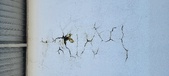 Enlarge photo 128
