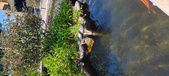 Enlarge photo 160