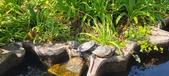 Enlarge photo 161