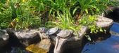 Enlarge photo 162