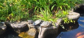 Enlarge photo 163