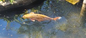 Enlarge photo 167