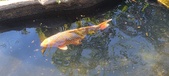 Enlarge photo 168