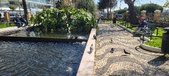 Enlarge photo 174