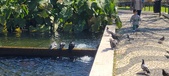 Enlarge photo 175