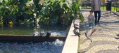 Enlarge photo 176