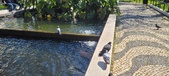 Enlarge photo 178