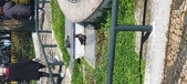 Enlarge photo 179