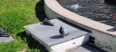Enlarge photo 183