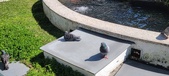 Enlarge photo 185