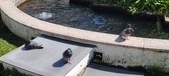 Enlarge photo 186