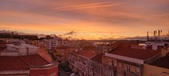 Enlarge photo 355