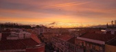 Enlarge photo 356