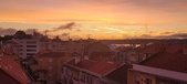 Enlarge photo 359