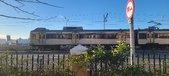 Enlarge photo 392