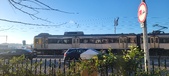 Enlarge photo 393