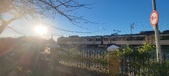 Enlarge photo 394