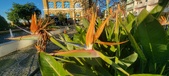 Enlarge photo 403