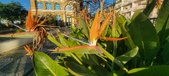 Enlarge photo 404