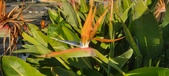 Enlarge photo 406
