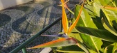 Enlarge photo 407