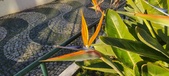 Enlarge photo 408