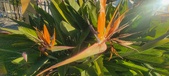 Enlarge photo 409