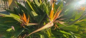 Enlarge photo 410