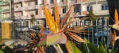 Enlarge photo 412