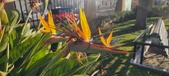 Enlarge photo 414