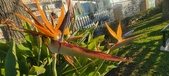 Enlarge photo 415