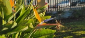 Enlarge photo 417
