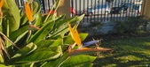 Enlarge photo 418