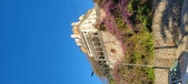 Enlarge photo 422