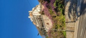 Enlarge photo 423