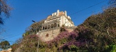 Enlarge photo 425