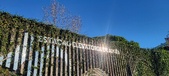 Enlarge photo 432