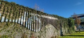 Enlarge photo 434