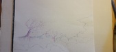 Enlarge photo 542