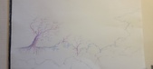 Enlarge photo 544