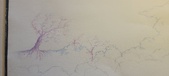 Enlarge photo 545