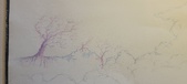 Enlarge photo 546