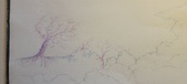 Enlarge photo 547