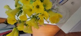 Enlarge photo 548