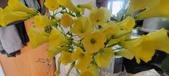Enlarge photo 551