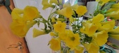 Enlarge photo 550