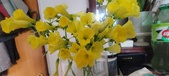 Enlarge photo 553