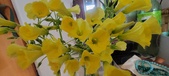 Enlarge photo 554