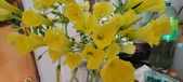 Enlarge photo 557