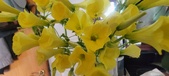 Enlarge photo 558